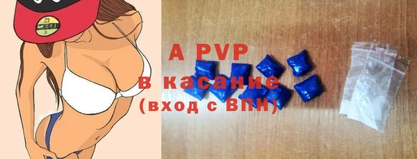 молекула духа Богданович