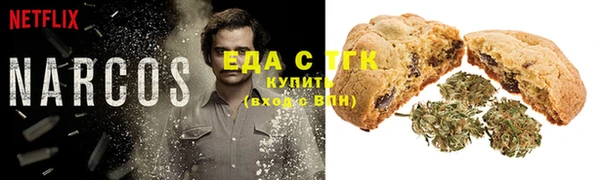 молекула духа Богданович