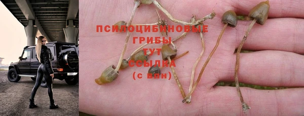 ALPHA-PVP Богородицк