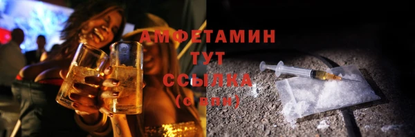 молекула духа Богданович