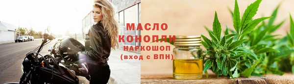 молекула духа Богданович