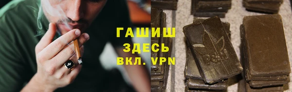 молекула духа Богданович