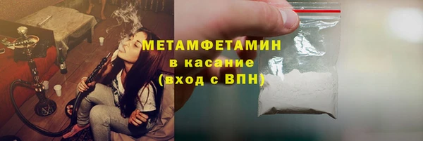 молекула духа Богданович
