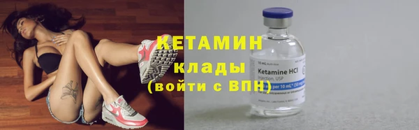 молекула духа Богданович