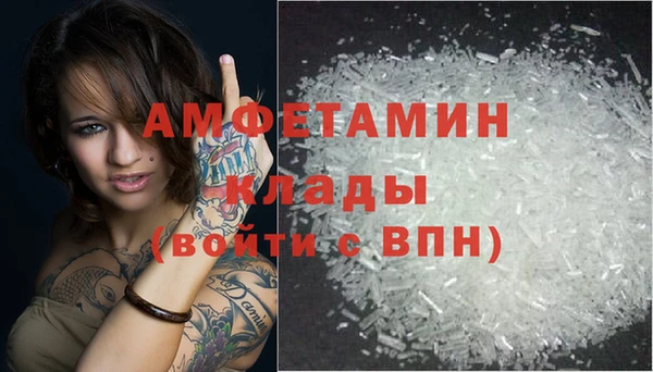 молекула духа Богданович
