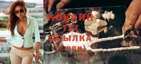 молекула духа Богданович