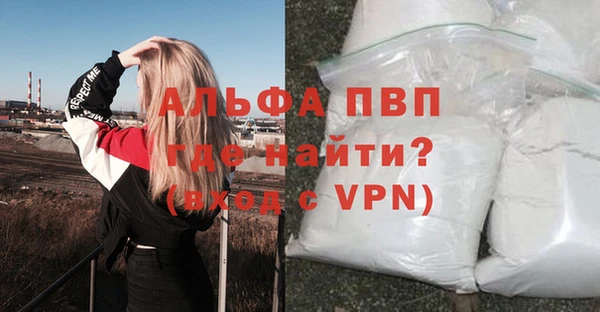молекула духа Богданович