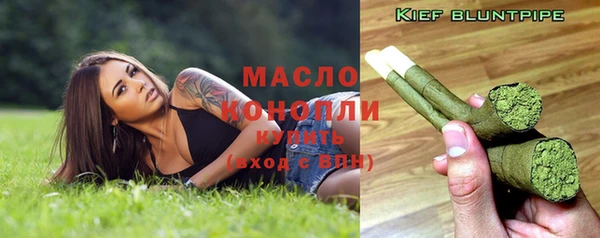 молекула духа Богданович