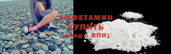 молекула духа Богданович