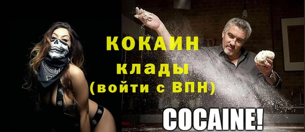 молекула духа Богданович